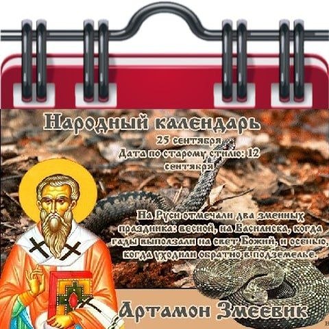 Фото поста канала  Жесть Шебекино