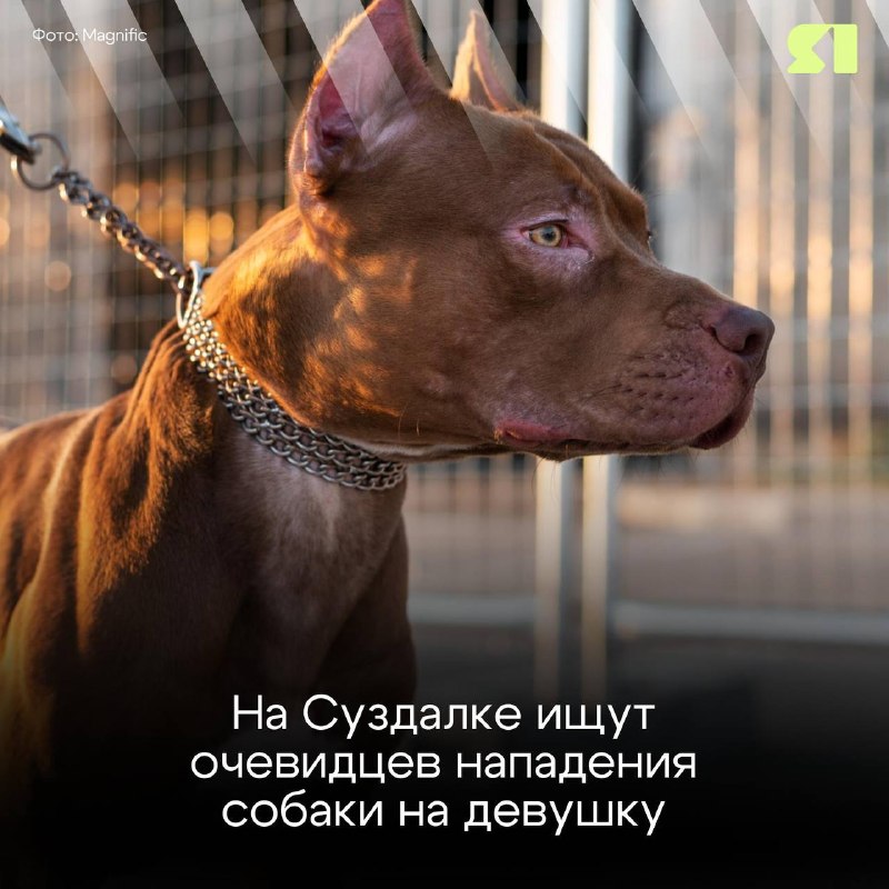Фото поста канала  Мониторинг 76 Ярославская область