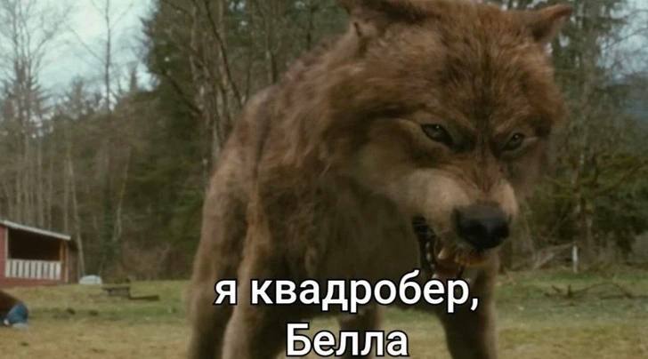 Фото поста канала Дмитрий Никотин 