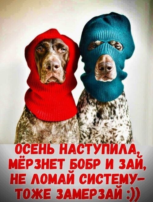 Фото поста канала Мамины открытки💝