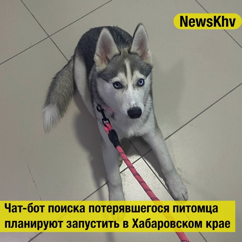 Фото поста канала  NewsKhv