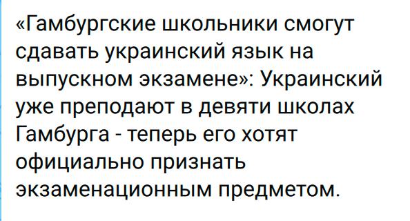 Фото поста канала  follyflly