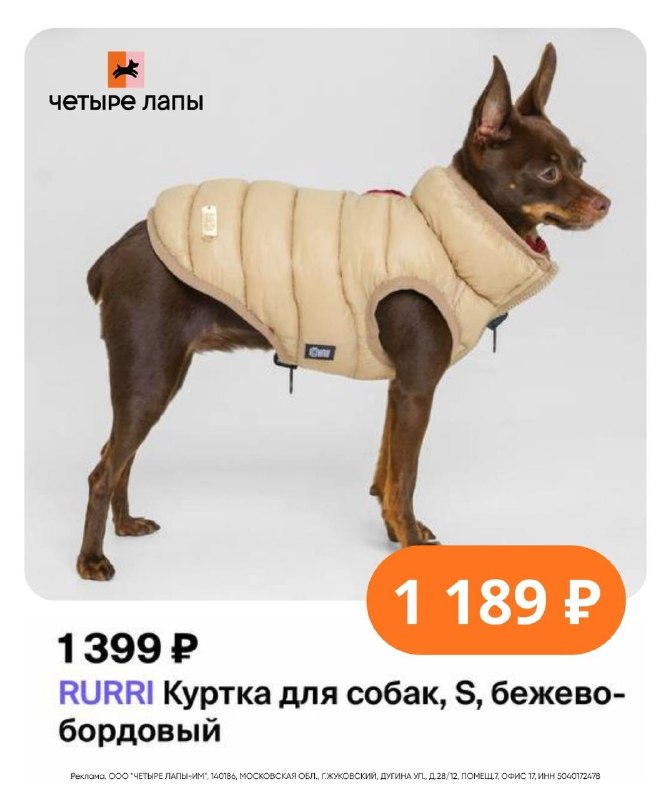 Фото поста канала СЛИВ ХАЛЯВЫ 🎁