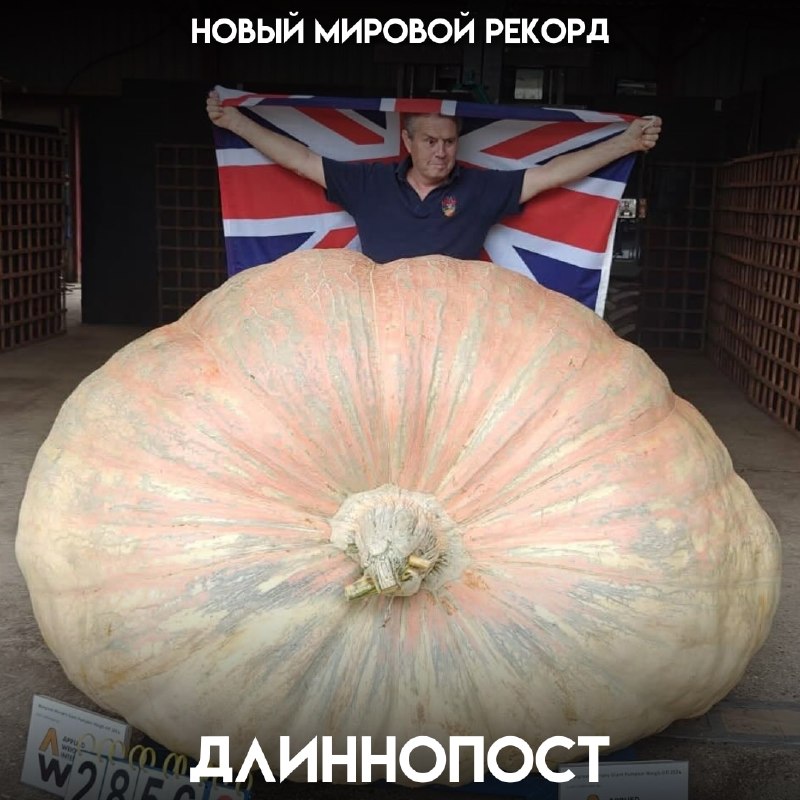 Фото поста канала Пикабу