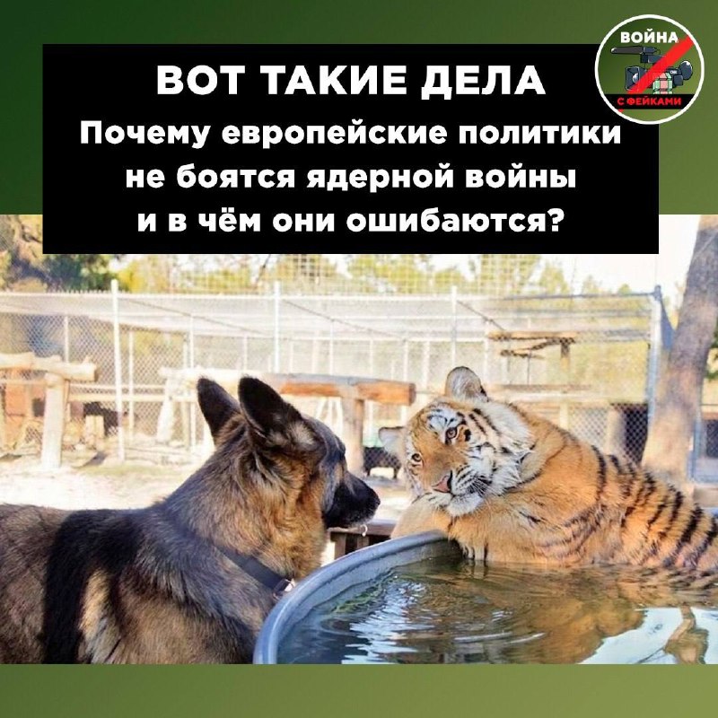 Фото поста канала Война  с фейками