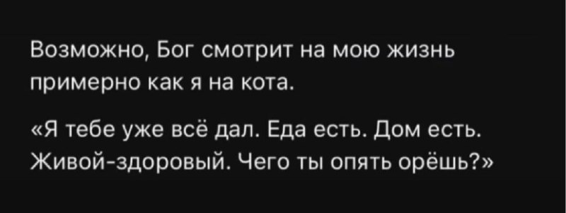 Фото поста канала Саваничи