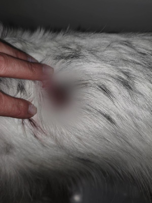 Фото поста канала  Мониторинг 76 Ярославская область