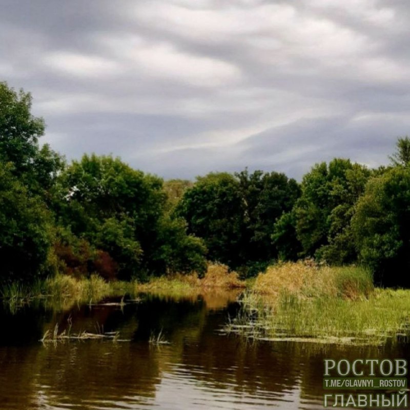 Фото поста канала  Ростов Главный новости