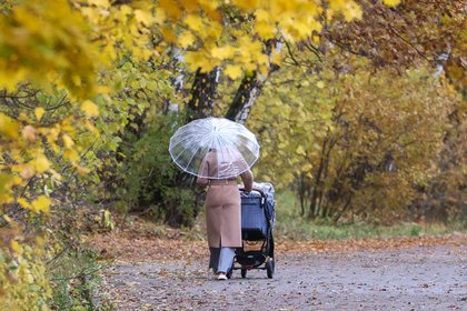 Фото поста канала  Лента Новостей
