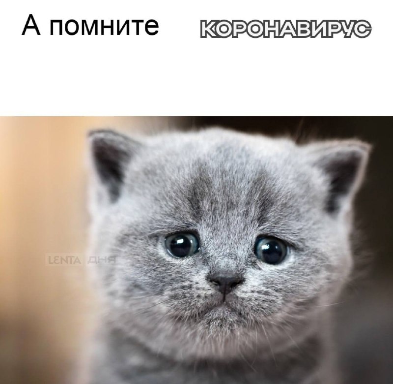Фото поста канала  svodka38