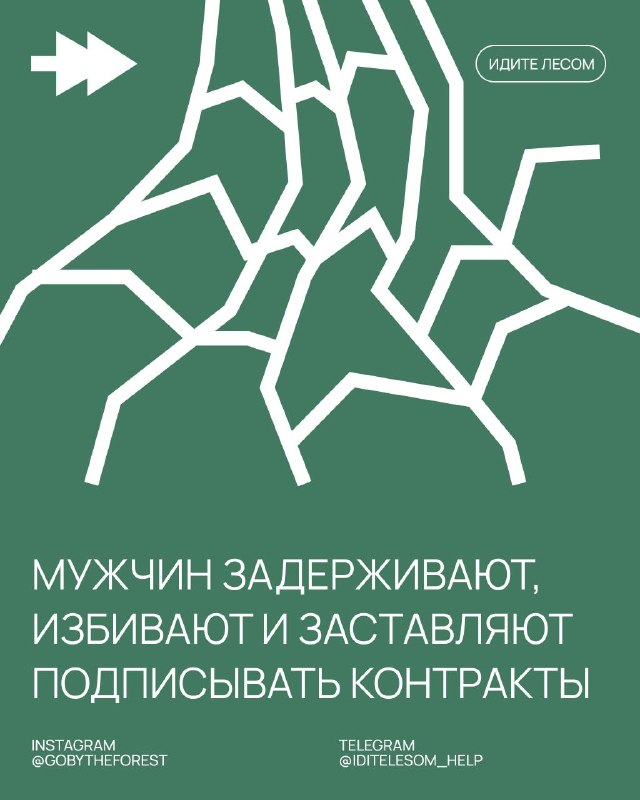 Фото поста канала Идите лесом!