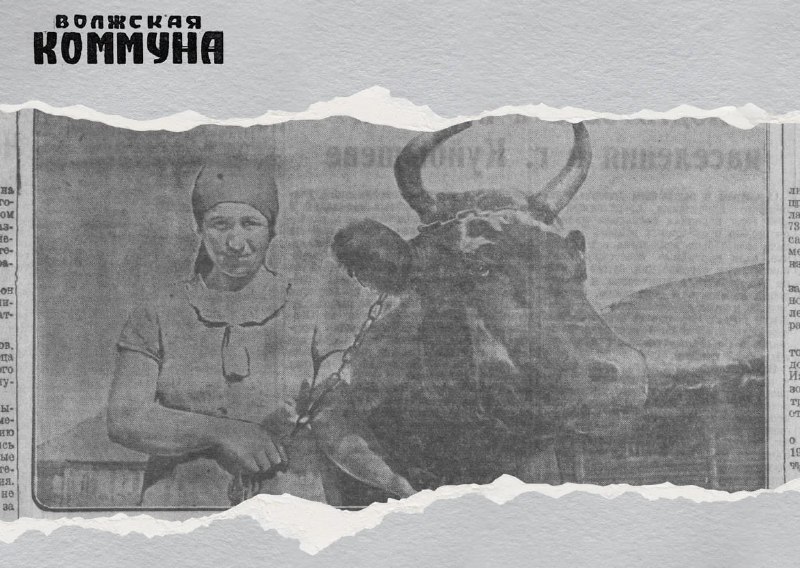 Фото поста канала  Мониторинг 63 Самарская область