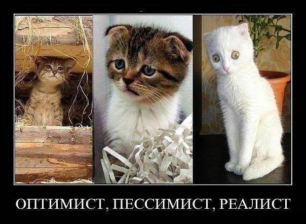 Фото поста канала Питер Live