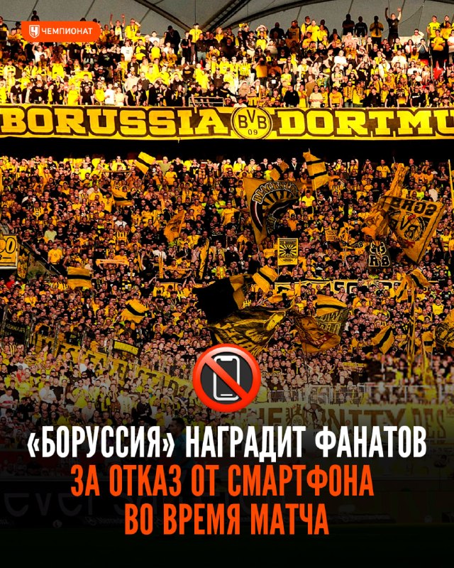 Фото поста канала Чемпионат