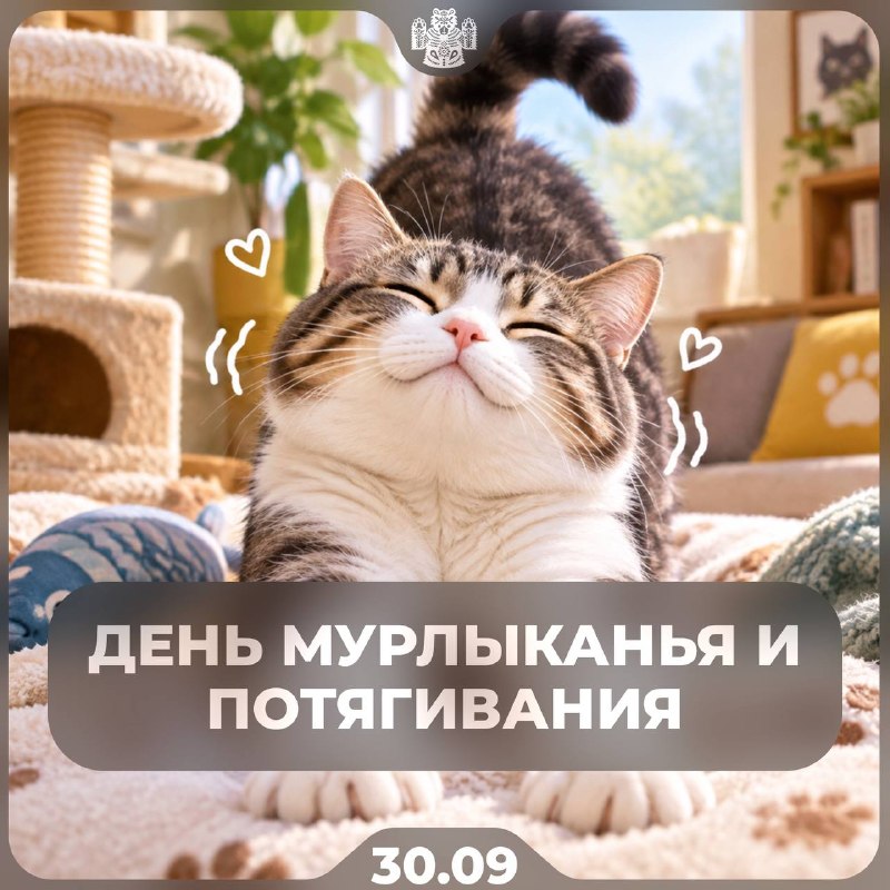 Фото поста канала  Новости Волгограда и Области