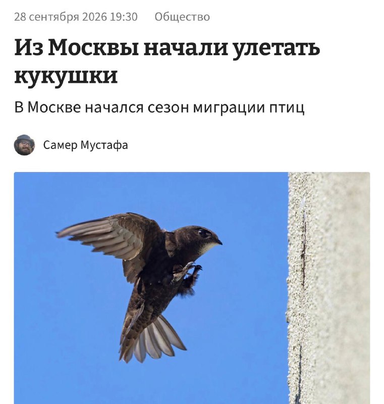 Фото поста канала ТОПОР - Горячие новости