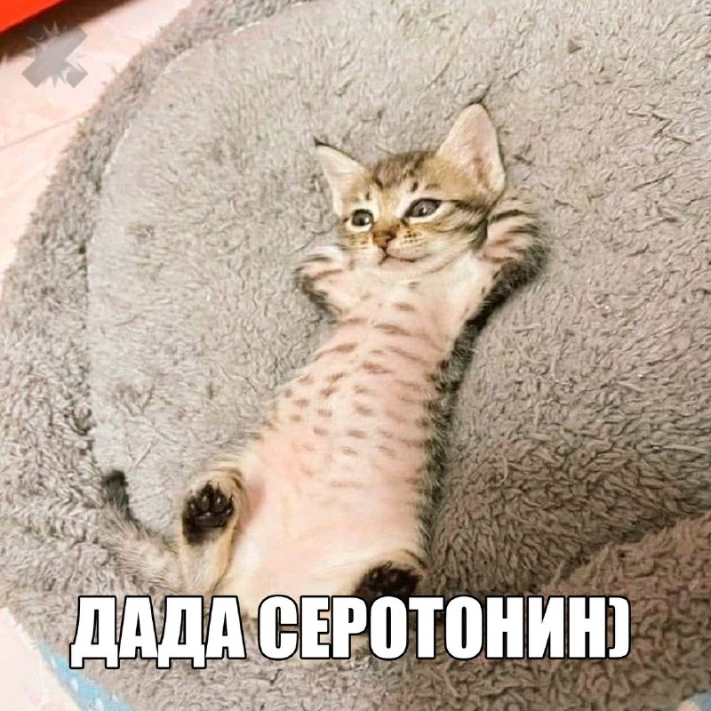 Фото поста канала НМШ 