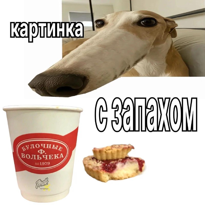 Фото поста канала  MDK Петербург