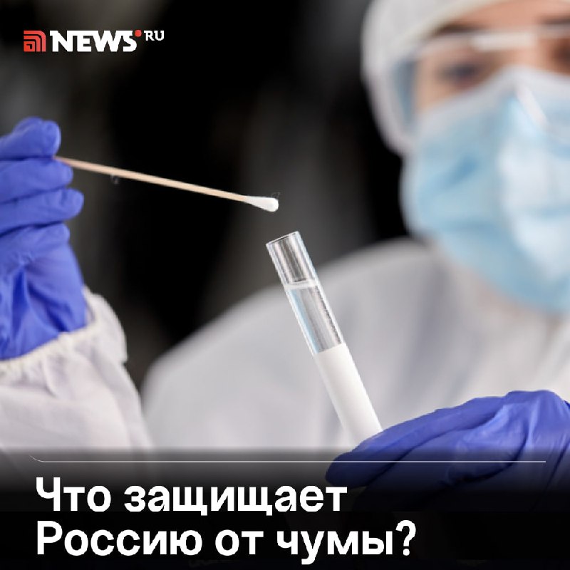 Фото поста канала  NEWS.ru | Новости