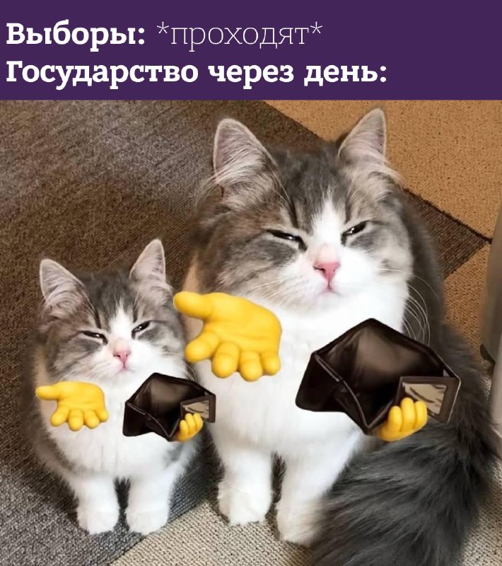 Фото поста канала  Лентач