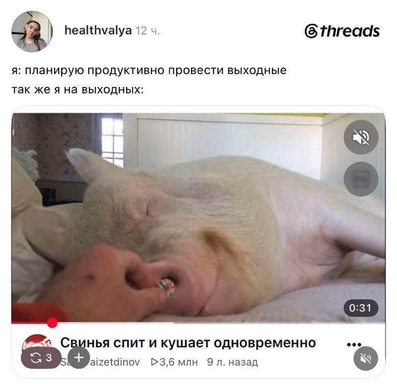 Фото поста канала Бизнес Идеи | Стартапы