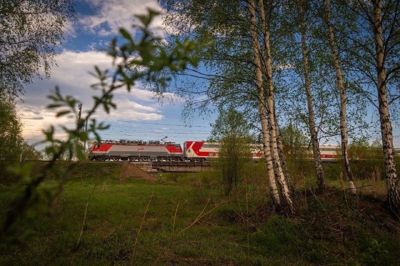 Фото поста канала  "Первый Ростовский" телеканал
