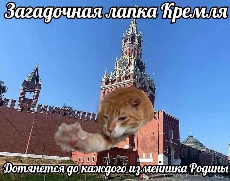 Фото поста канала  Баба с яйцами и мемами