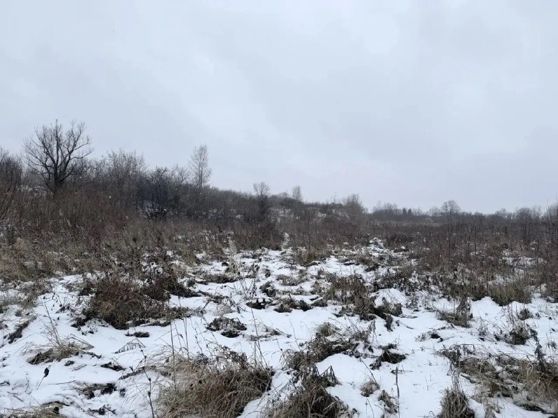 Фото поста канала  Мониторинг 24 Красноярский край