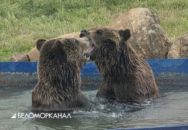 Фото поста канала  АрхДайджест