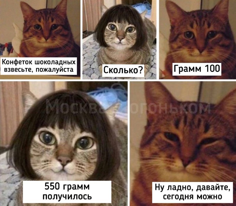 Фото поста канала Москва с огоньком