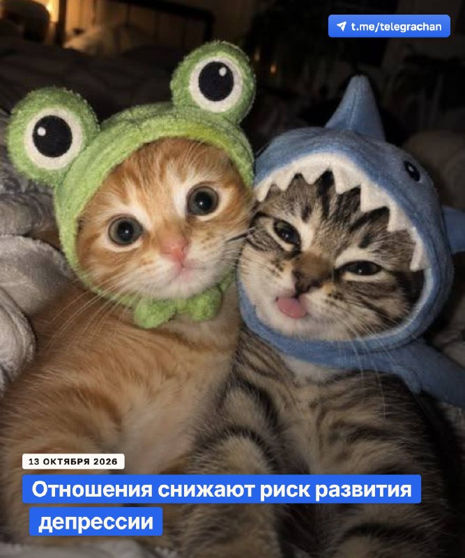 Фото поста канала TELEGRA4CH