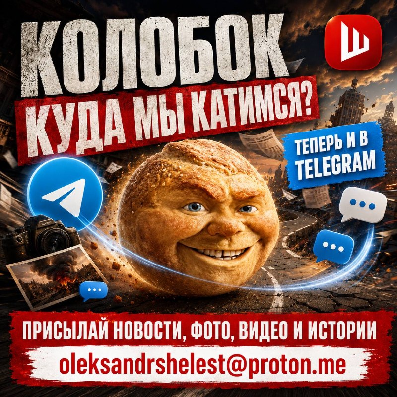 Фото поста канала  ШЕЛЕСТ