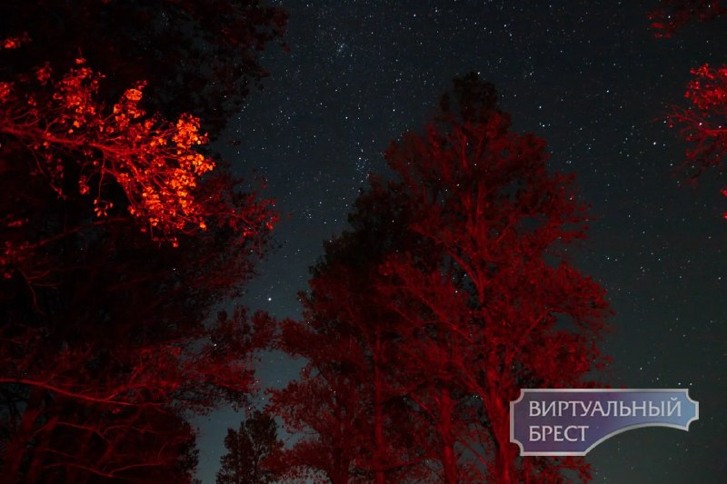 Фото поста канала  Виртуальный Брест новости