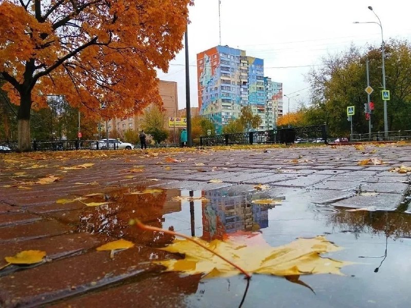 Фото поста канала ГородОК Жуковский Раменское
