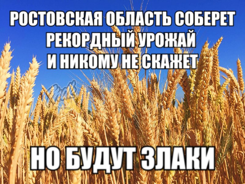 Фото поста канала  MDK Ростов