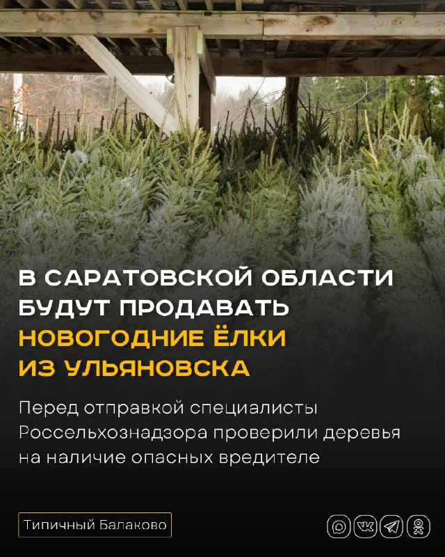 Фото поста канала  Типичный Балаково (18+)