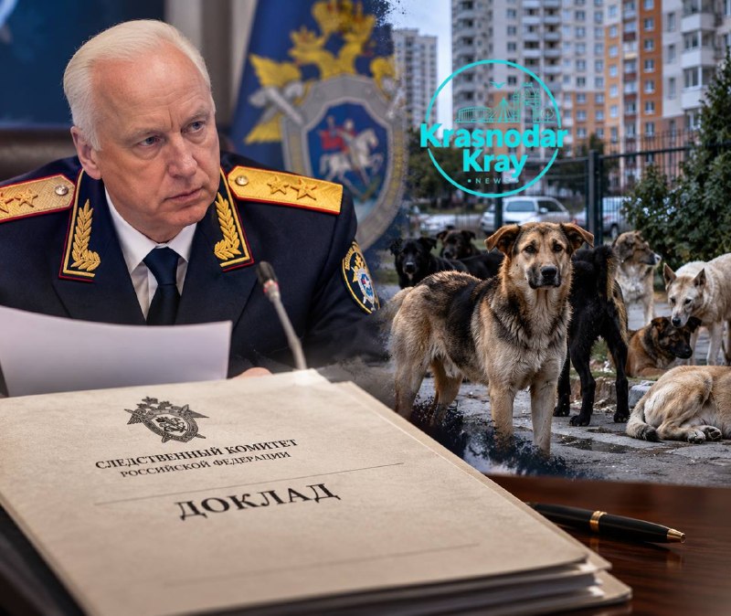 Фото поста канала  Краснодар и край