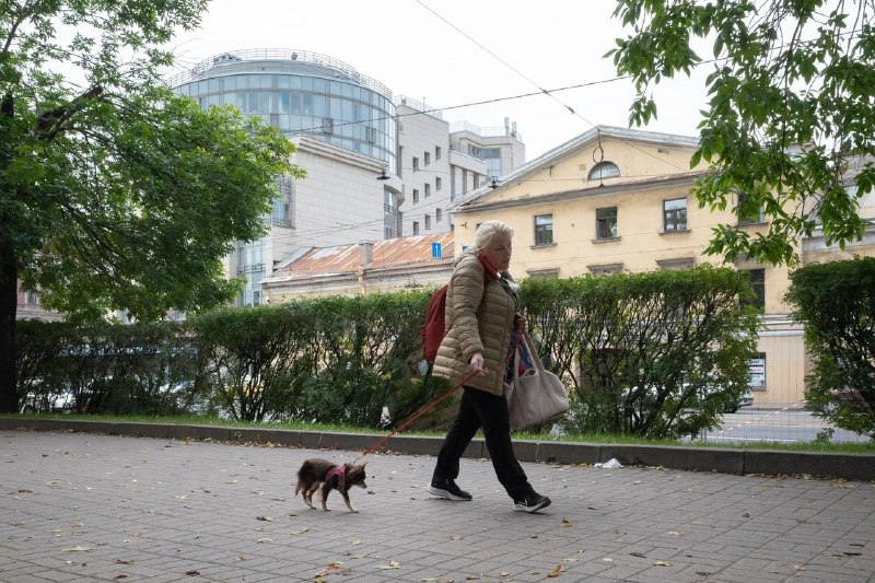 Фото поста канала  Бумага: всё о Петербурге