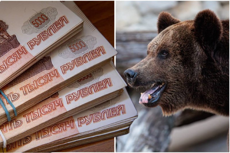 Фото поста канала  Zvezdanews