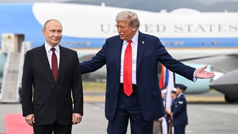 Фото поста канала  Русские Медведи
