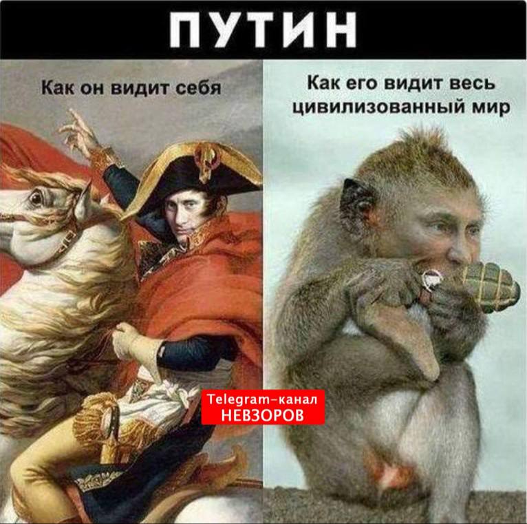 Фото поста канала НЕВЗОРОВ 