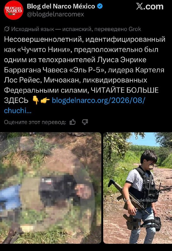 Фото поста канала  В порядке бреда 🧨