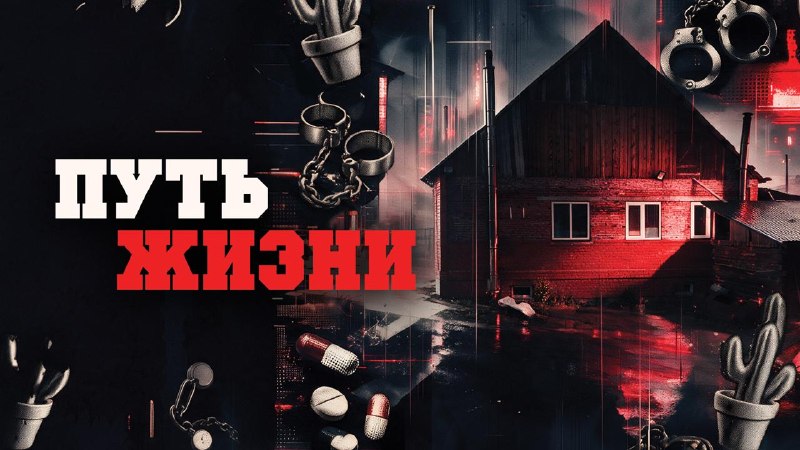 Фото поста канала  Кот канал-Z 🧌