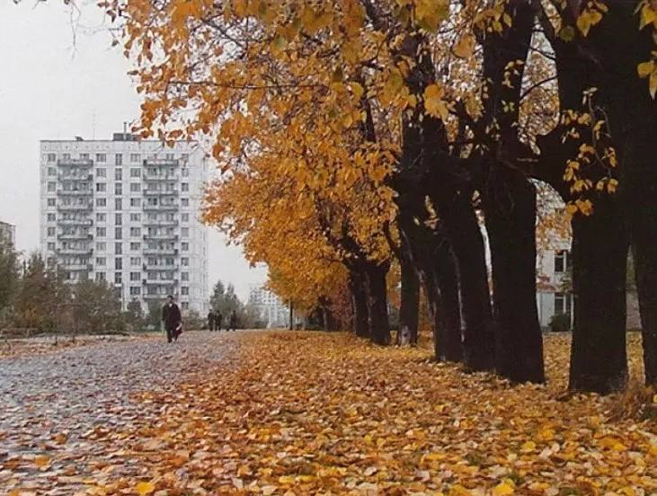 Фото поста канала  ZELENOGRAM | ЗЕЛЕНОГРАД