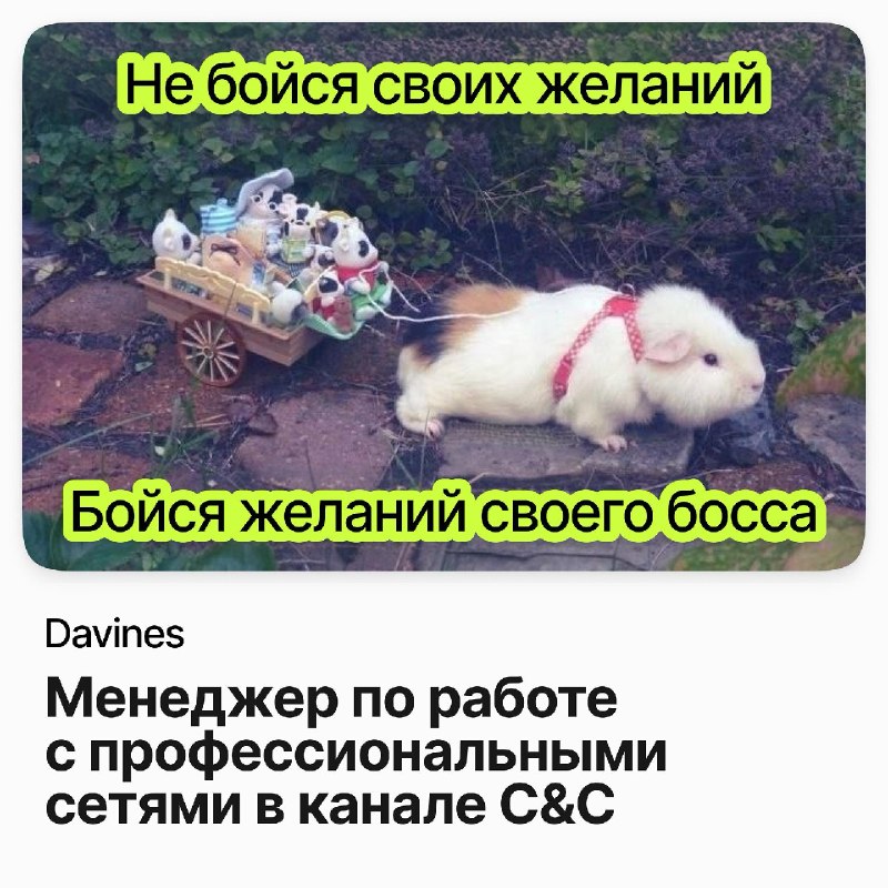Фото поста канала careerspace