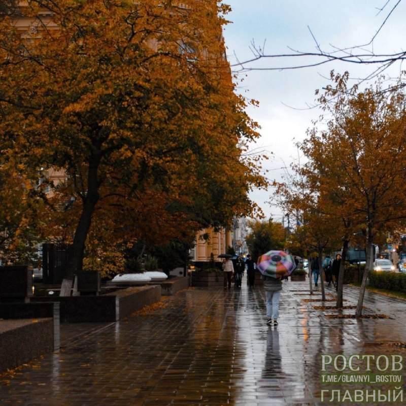Фото поста канала  Ростов Главный новости