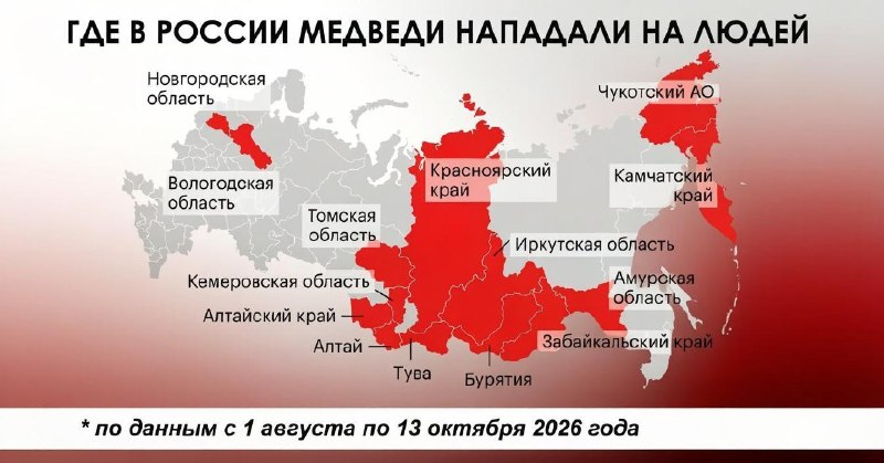 Фото поста канала  БИДЖЕВ М.И.