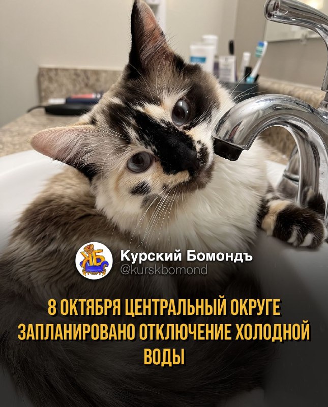 Фото поста канала  КУРСКИЙ БОМОНДЪ