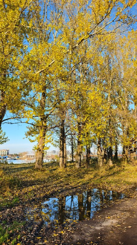 Фото поста канала  Эхо Севера