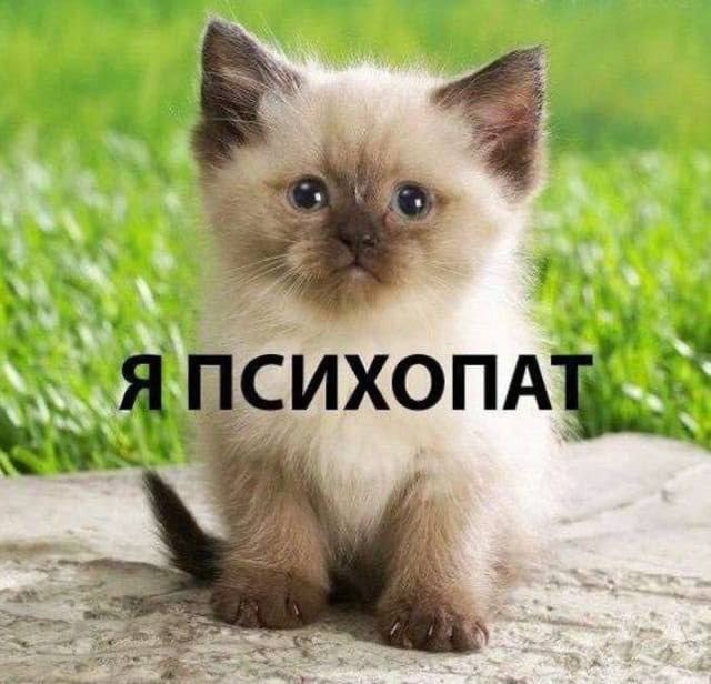 Фото поста канала  Мысли Путина